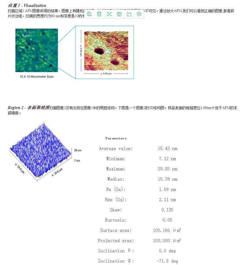 AFMWorkshop NP-AFM测试